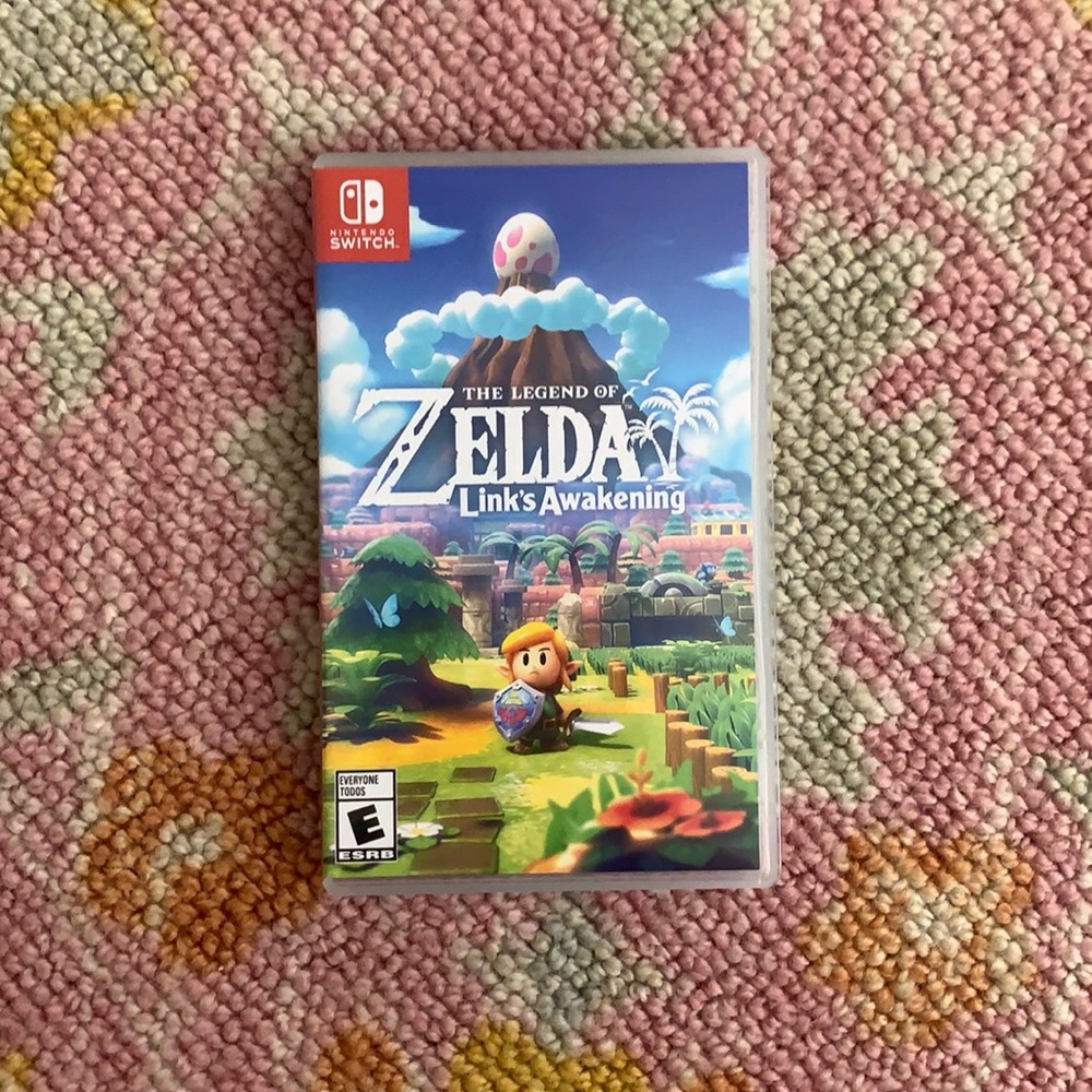 Zelda Switch Game